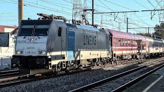 Train at Schaerbeek Station (4K) MORNING RUSH HOUR