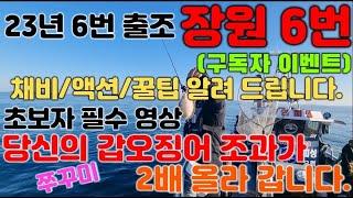 갑오징어(쭈꾸미) 낚시하는 방법과 조과를 올릴수 있는 꿀팁 (입문자/초보자 필히 보세요!!) -자연피싱호-