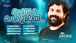 ചെമ്പക ചേലുമായ്...| Chembachelumay | Shafi Kollam Hit Songs | Jukebox Gallery