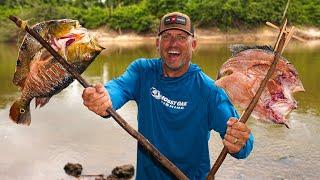 REAL Survival Food in the Middle of a Remote Jungle! {Catch Clean Cook} Rewa, Guyana