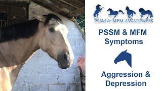 PSSM & MIM Symptoms- Aggression & Depression