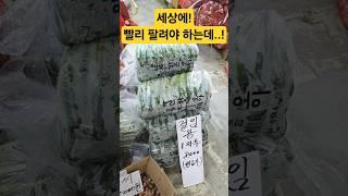 눈물나! 큰일! 빨리 팔려야 하는데...! #시장 #맛집 #먹방 #먹거리 #맛집