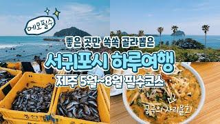 제주도 5월~8월 필수코스 서귀포시 하루여행 | 서귀포 맛집, 카페, 가볼만한 곳 총정리