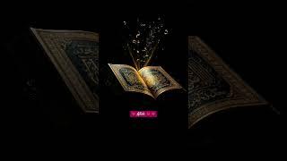  Allah  #sj Kaba Sharif vlogs