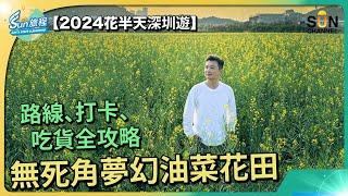 【油菜花田 深圳光明小鎮 歡樂田園 】香港即日來回深圳最大油菜花田，實拍心得前往路線分享光明城站｜#14 Sun旅程_20240229