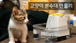 만천원으로 고양이 분수대 / 정수기 만들기 DIY 예쁘고 저렴하게 - 댕냥티비