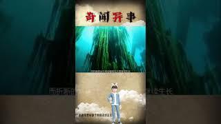 奇闻异事 奇闻趣事 奇闻怪事 奇闻档案录 涨知识 冷知识