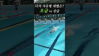 나의 자유형 레벨은? #swimming #swim #수영잘하는방법 #자유형