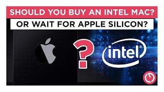 Do you buy INTEL now, or wait for APPLE SILICON?