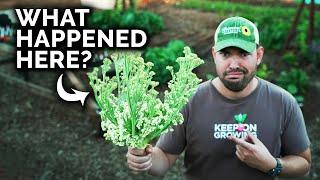 I FINALLY Figured Out How to Grow Broccoli & Cauliflower