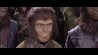 Planet Of The Apes clip Taylor talks and flips out the apes