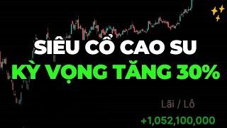 SIÊU CỔ PHIẾU NGÀNH CAO SU KỲ VỌNG TĂNG 30% TRONG 2025 | GVR PHR DPR TRC DRI