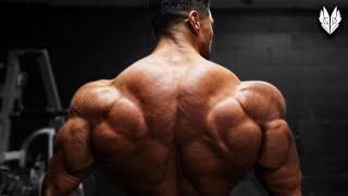 ARNOLD BACK  ANDREI DEIU FITNESS MOTIVATION 2023