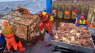 Amazing Snow Crab Fishing With Traps on the Boat - Awesome Big King Crab Trap Under The Sea