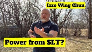 Where do we get Power from Sil Lim Tao? - Izzo Wing Chun