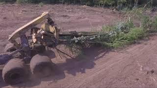 SWAMP LOGGERS NC / "The Stroud Tract"