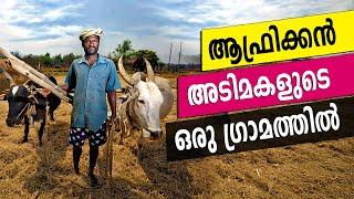 A village of African Slaves | MUMBAI 16 | Safari TV