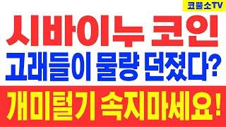 [시바이누 코인] 고래들이 물량 던졌다? 개미털기 속지마세요!