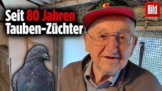 Opa Werner (94) gibt auf YouTube Tipps zur Tauben-Zucht