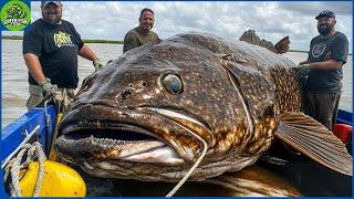 American Fishermen Hunt And Process Millions Of Tons Of Giant Red Grouper | Fishing Documentary