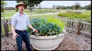 Crash Gardening with David Goodman, Episode 1: A Zillion Ways To Garden