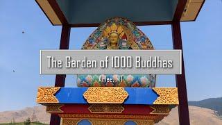 Garden of 1000 Buddhas