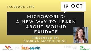 Microworld: a new way to learn about wound exudate