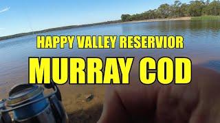 Happy Valley Reservoir - Murray Cod Fishing Action