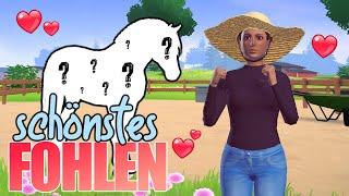 ich habe das SCHÖNSTE FOHLEN  gezüchtet  Equestrian the Game