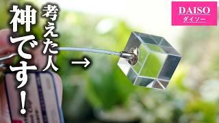 まさかの裏技！ある業界で話題の100均メモクリップを観葉植物に使います【エアプランツ】