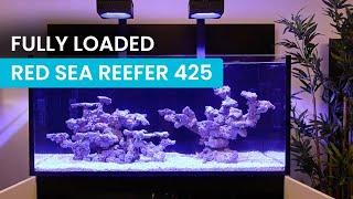 Fully Loaded Red Sea Reefer 425: The Ultimate Reef Setup! 