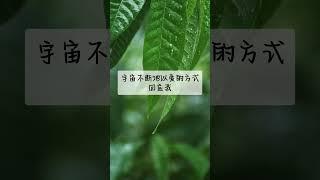 金钱财富肯定句 | 正能量 | 吸引力法則 | 激勵人生