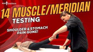 MUSCLE TESTING - 14 Meridians - Stomach & Shoulder Pain GONE!