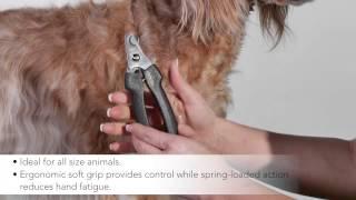 Andis Premium Pet Grooming Tools - Large Nail Clippers