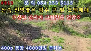 #515#(400p)#영천부동산#영천땅#영천전원주택#영천주말농장#영천임야#영천귀농 산과산사이 우뚝솟아 그림같은 전망 평수큰땅 가격은 싸게 급매매