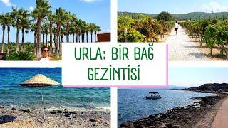 URLA VLOG | ACİLLİK OLDUK! | URLA'DA BİR BAĞ GEZİNTİSİ BU NASIL BİR YER? | TERAPİ GİBİ VLOG