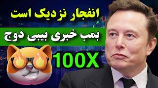 میم کوین مخفی ایلان ماسک  انفجار تاریخی بیبی دوج کوین با این اخبار