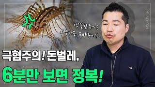 극혐의 끝판왕 그리마(돈벌레)! 이 영상 하나면 완전정복! | 최고 전문가가 알려주는 비법!