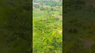 Lata Mangeshkar evergreen song #viral #trending #shortvideo #explore #love travel ️