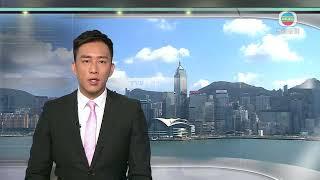 香港新聞｜無綫新聞｜25/09/23 要聞｜城大獸醫學士課程獲兩間獸醫監管機構認證 畢業生可在港註冊成獸醫｜ TVB News