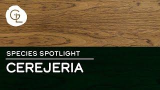 Cerejeira Wood Veneer Sheets