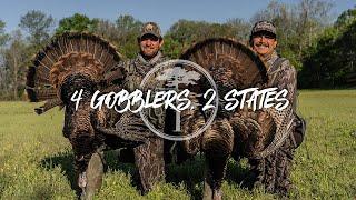 Turkey Hunting- 4 gobblers, 2 states, SAME DAY!