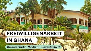 Freiwilligenarbeit Ghana | Land und Leute Ghanas | Projekte: Klimaschutz, Medizin und Sozialarbeit