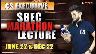 CS Executive | SBEC Marathon Part B