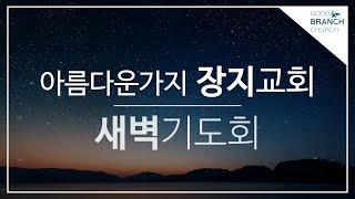 2025.01.03 새벽ㅣ눅 6:27-36 너희 아버지의 자비로우심 같이ㅣ박성광 목사ㅣ아름다운가지 장지교회