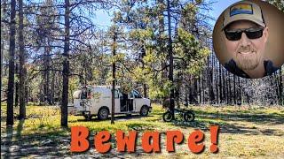 Beware Of THIS Danger While Camping In The Forest! #boondocking #vanlife 