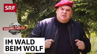 Security-Experte zur Gefahr durch den Wolf, Panther und Wanderer | Giacobbo / Müller | Comedy | SRF