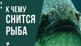 К чему снится рыба? Рыба во сне толкование и значение сна