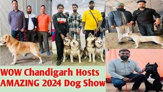 WOW! Chandigarh Hosts AMAZING 2024 Dog Show || Beautiful City Beautiful Dog Show Chandigarh 2024