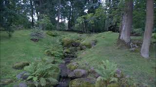 Early morning in Japanese Garden of Kadriorg Park.